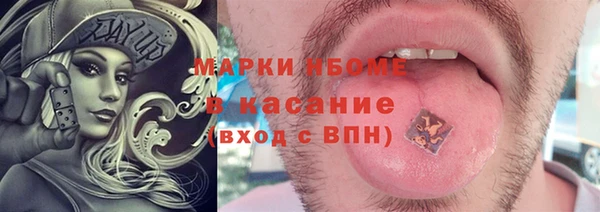 ГАЛЛЮЦИНОГЕННЫЕ ГРИБЫ Верея