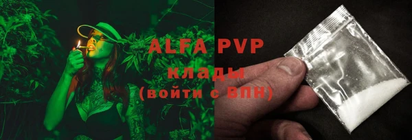 ГАЛЛЮЦИНОГЕННЫЕ ГРИБЫ Верея