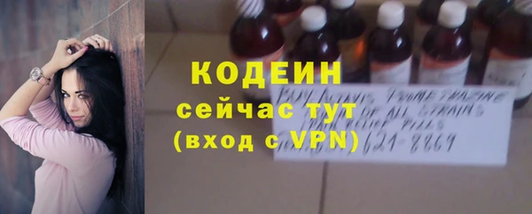 ГАЛЛЮЦИНОГЕННЫЕ ГРИБЫ Верея