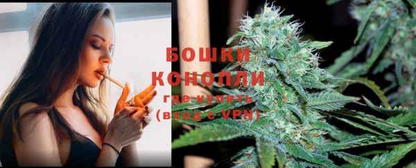 мдпв Бугульма