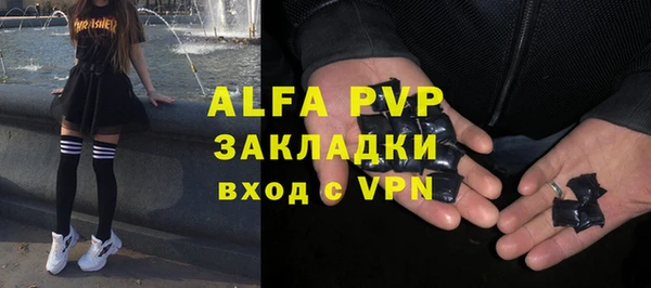 ешки Бородино