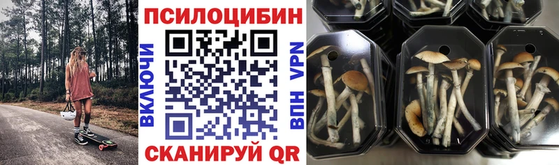 Галлюциногенные грибы прущие грибы  Ветлуга 